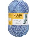 Regia Cool Style Color 2931 cool blue