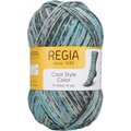 Regia Cool Style Color 2933 cool coffee