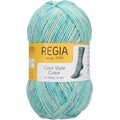 Regia Cool Style Color 2934 cool ocean