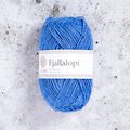 Istex Fjallalopi 22 Spring Blue
