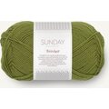 Sandnes Garn PetiteKnit Sunday 9564 Matcha