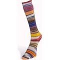 Laines Du Nord Eclectic Sock 2