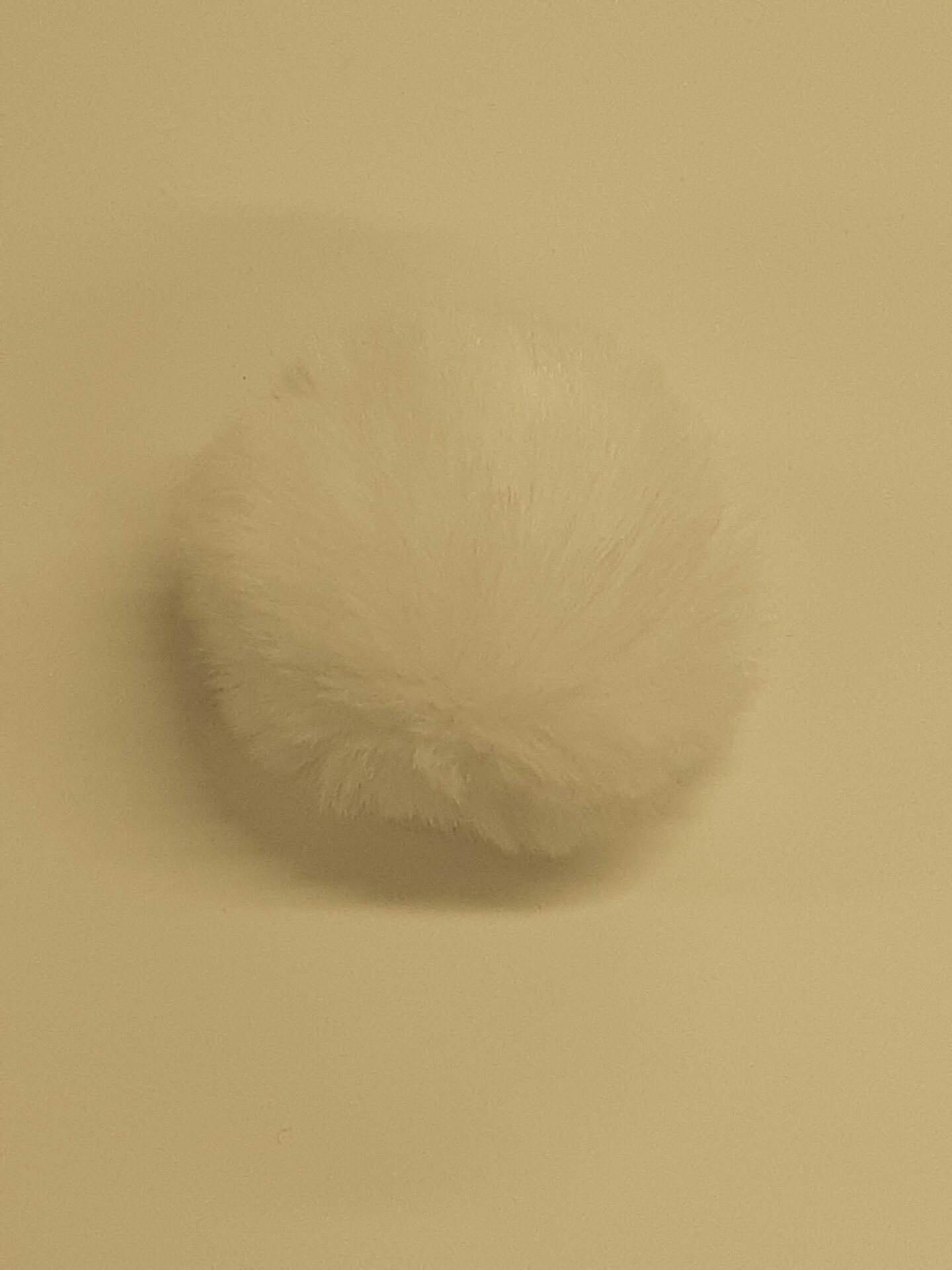 Pompons tupsu 8cm Valkoinen