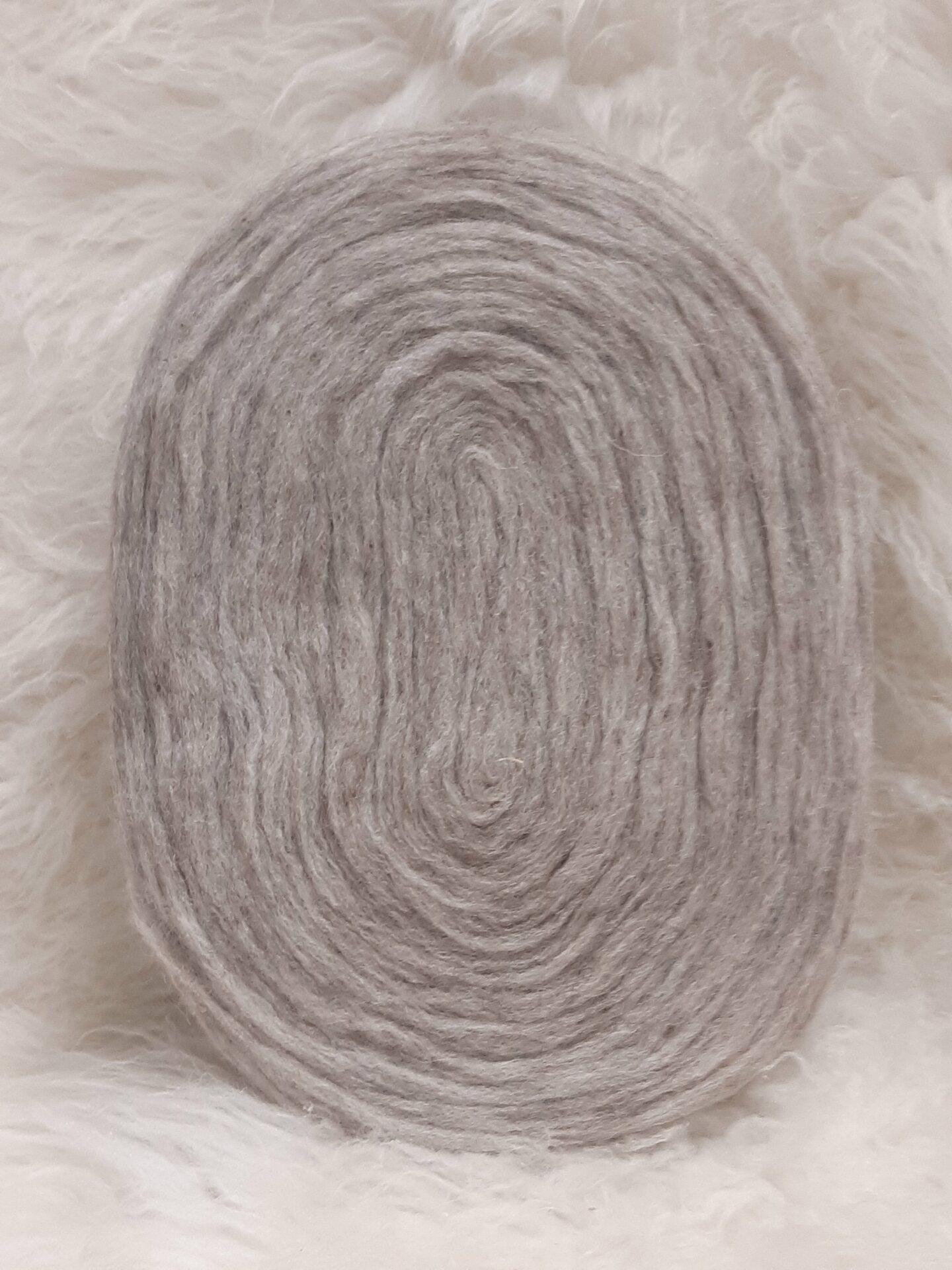 Lankapuodin hahtuva kiekkonen Beessi