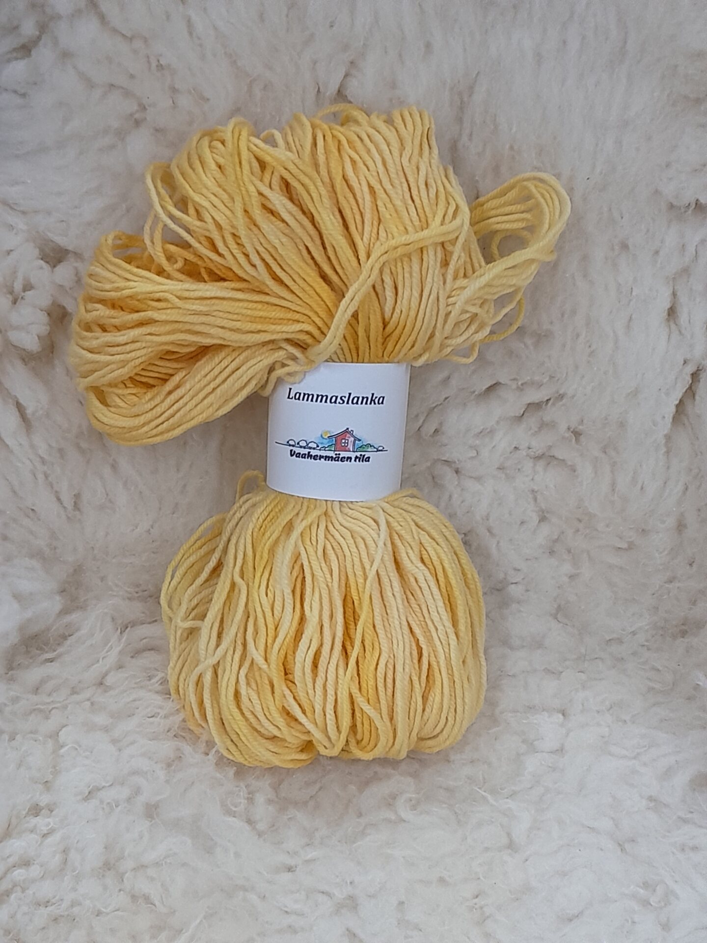 Kasvivärjätty kampalanka 110x4, 100g n. 210m Sipulinkuori purkkivärjäys