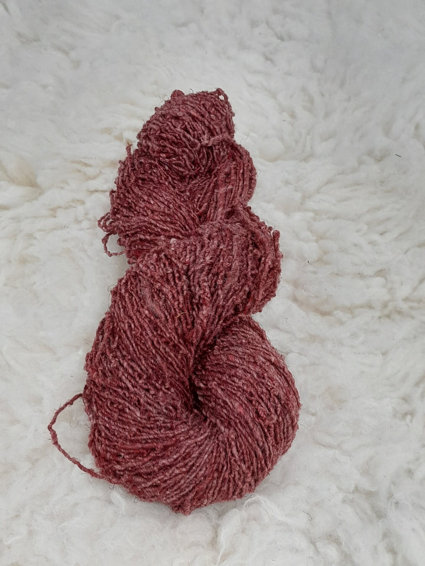 Nokkonen, konekehrätty Viini