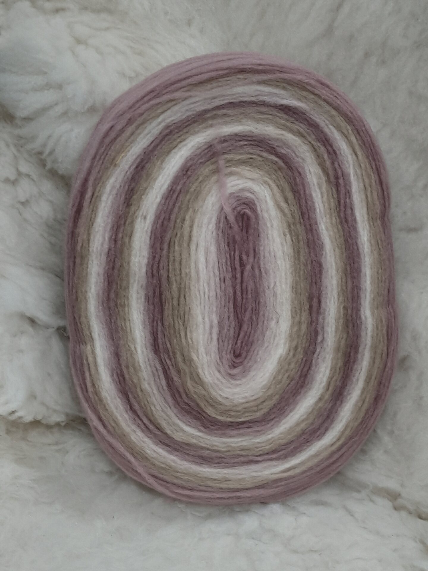 Lankapuodin hahtuva kiekkonen Haelakkaroosa-beessi-valkkee