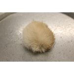 Turkistupsu iso Beige-valkoinen