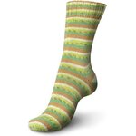 Regia Cotton Tutti Frutti 2418 Kiivi