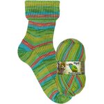 Opal Regenwald 17, 6-ply 11104 kolibri