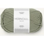 Sandnes Garn Merinoull 8521 vaalea vihreä