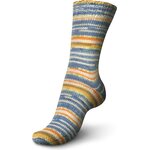Regia Autumn Walk 6-ply 4904 panorama