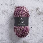 Svarta Fåret SOX 150g 446802 coleus flower