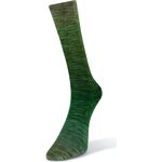 Laines Du Nord Watercolor sock 200