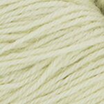 Katia ALPAQUINA 314 - Whitish green