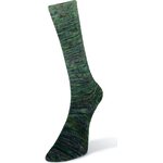 Laines Du Nord Paint Gradient Sock 10