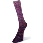 Laines Du Nord Paint Gradient Sock 13