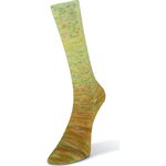 Laines Du Nord Paint Gradient Sock 17