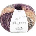 Katia Taika socks 6-ply 151
