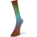 Laines Du Nord Watercolor sock 201