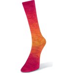 Laines Du Nord Watercolor sock 202
