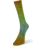 Laines Du Nord Watercolor sock 203