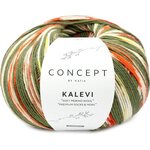 Katia Kalevi Socks 203 - Khaki -Orange-Yellow