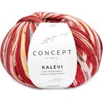 Katia Kalevi Socks 204 - Red-Brown-Yellow-Rust