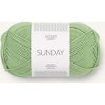 Sandnes Garn Sunday 8733 Spring Green