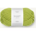 Sandnes Garn Smart 9825 Sunny Lime