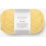 Sandnes Garn PetiteKnit Sunday 2013 Pineaple