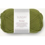 Sandnes Garn PetiteKnit Sunday 9564 Matcha