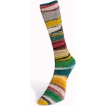Laines Du Nord Eclectic Sock 1