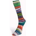 Laines Du Nord Eclectic Sock 3