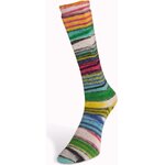 Laines Du Nord Eclectic Sock 6