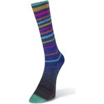 Laines Du Nord Infinity Sock 10