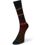 Laines Du Nord Infinity Sock 17