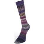 Laines Du Nord Carnival Socks 4