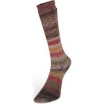 Laines Du Nord Carnival Socks 5
