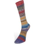 Laines Du Nord Carnival Socks 6