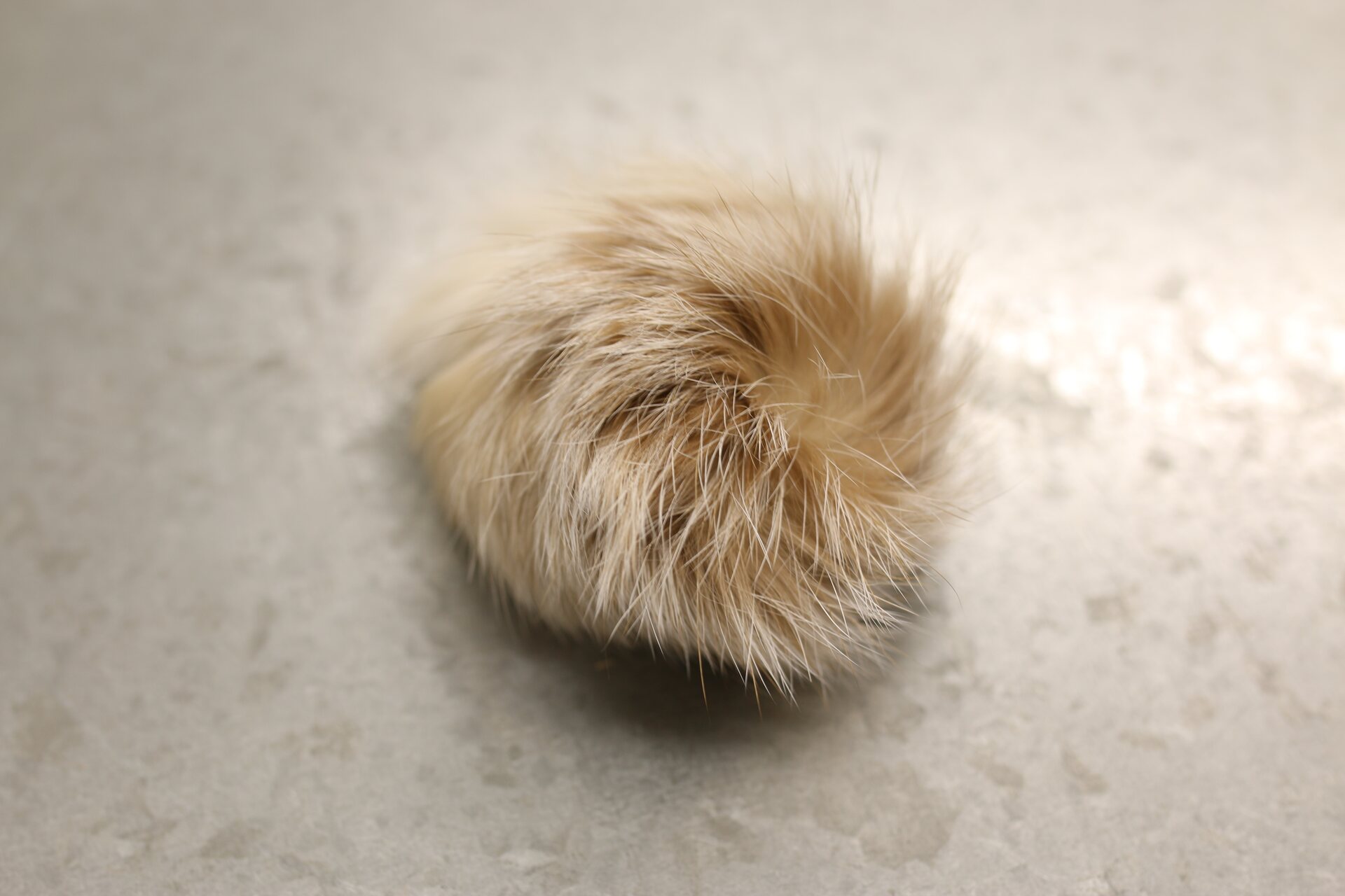 Turkistupsu pieni Beige