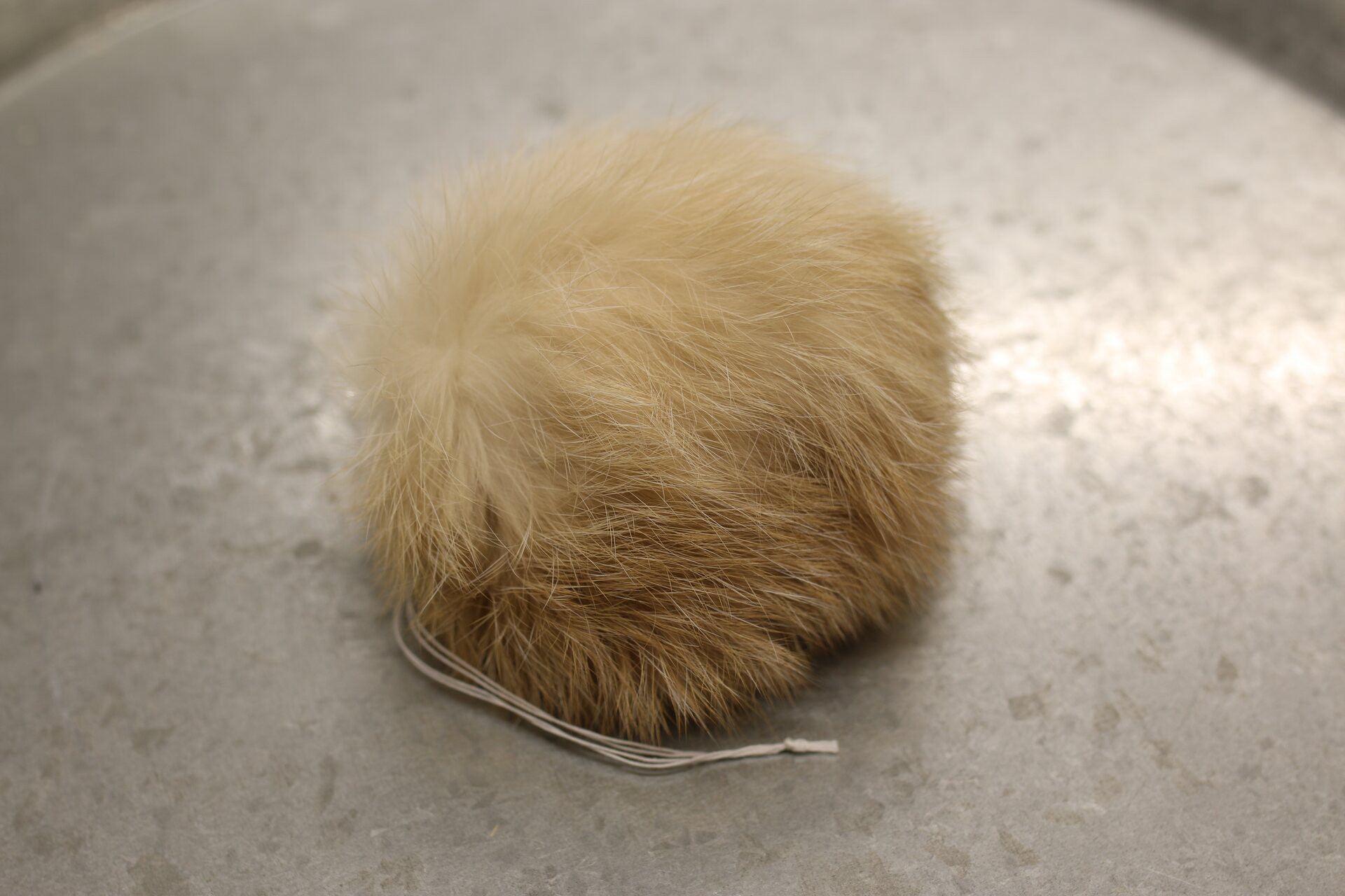 Turkistupsu iso Vaaleanruskea