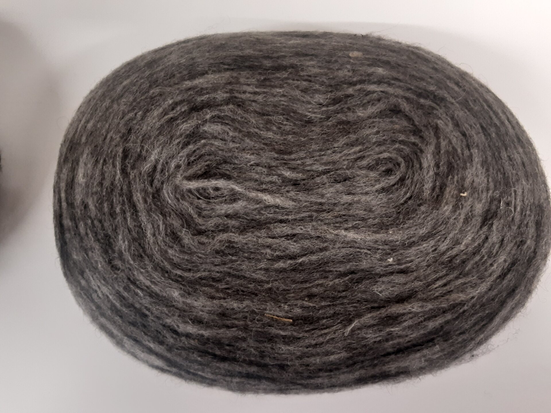 Lankapuodin hahtuva kiekkonen Tummaharmmoo