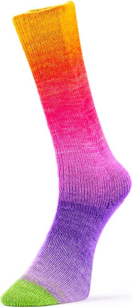 Laines Du Nord Harmonious Socks 11