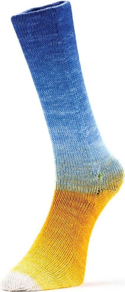 Laines Du Nord Harmonious Socks 15