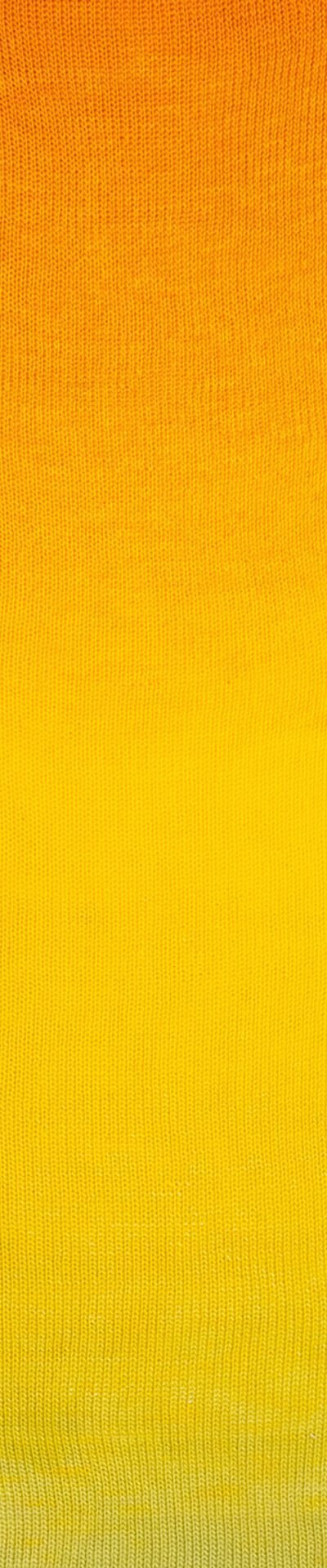 Laines Du Nord Poema 700