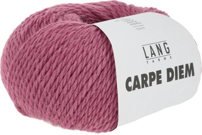 Lang Yarns Carpe Diem 365 raspberry mélange