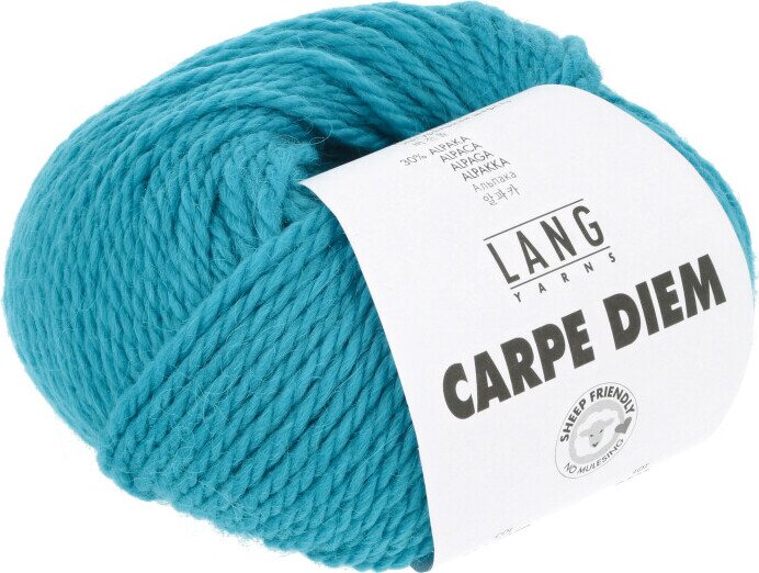 Lang Yarns Carpe Diem 79 turquoise