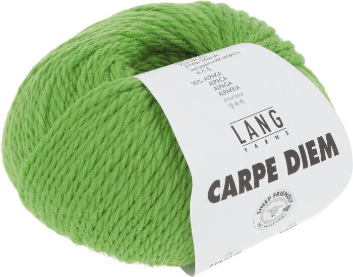 Lang Yarns Carpe Diem 116 light green
