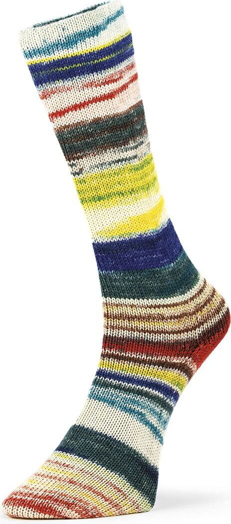 Laines Du Nord 6 ply Optical Socks 001
